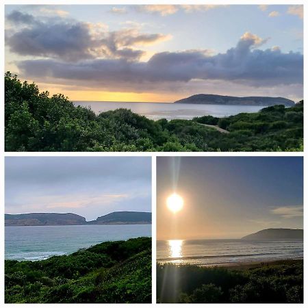 The Paper Fig House Βίλα Plettenberg Bay Εξωτερικό φωτογραφία